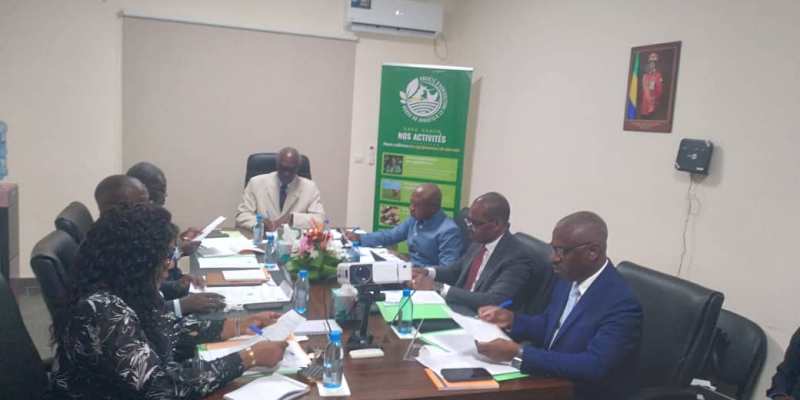 Agriculture : La Saeg organise son premier conseil d’administration